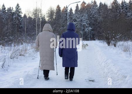 Women walk through park in winter. Women with walking poles. Useful walk. Stock Photo