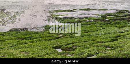 The Laomei Green Stone Trough is located in Shimen District on the North Coast, Every April and May, because the northeast monsoon slowly weakens, the Stock Photo