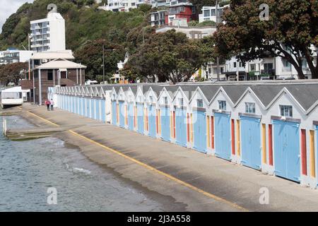 New Zealand, Wellington - January 11 2020: the view of Lambton Harbour, boat sheds at Clyde Quay Marina boat harbour on January 11 2020 in Wellington, Stock Photo