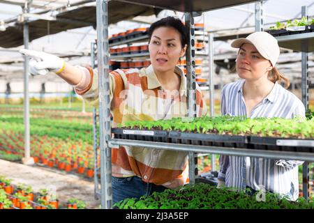 Two women farmers are discussing current work issues Stock Photo