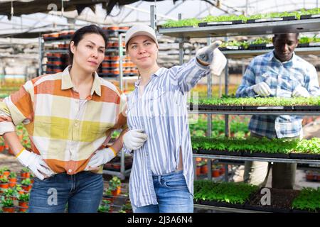 Two women farmers are discussing current work issues Stock Photo