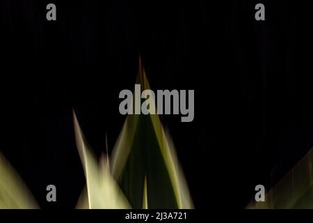 Abstract shapes on black background. Abstract illustration created with intentional camera movement (ICM) Stock Photo