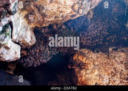 The bat cave at Goa Lawah (Bat Cave) temple in Goa Lawah, Klungkung, Bali. Stock Photo