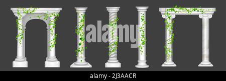 Ivy on marble columns and arches, vines with green leaves climbing on antique stone pillars, creeper plant on decorative greek or roman architecture d Stock Vector