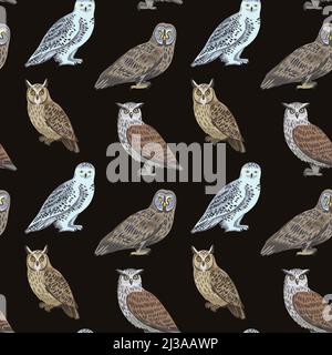 Seamless pattern with cute owls for design and textile.  Stock Vector