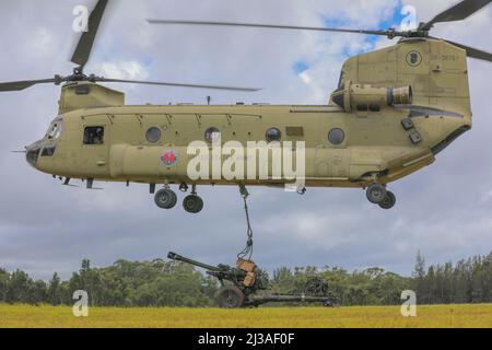 Hawaii Army National Guard Soldiers assigned to Company B, 2nd Battalion, 211th Aviation Regiment, 103rd Troop Command, conduct sling load operation training with Company B, 1st Battalion, 487th Artillery Regiment, 29th Infantry Brigade Combat Team at Schofield Barracks, Hawaii, April 2, 2022. Soldiers routinely trained to simulate tactical insertion and extraction of field artillery assets. (U.S. Army National Guard photo by Sgt. Lianne M. Hirano) Stock Photo