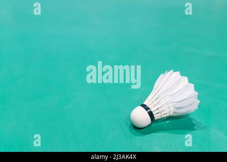 new shuttlecock on green badminton playing court Stock Photo