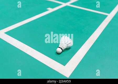 new shuttlecock on green badminton playing court Stock Photo