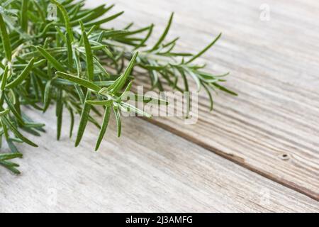 Closeup of a bunch of fresh aromatic green rosemary herb on old wood background with copy space Stock Photo