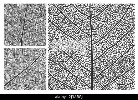 Leaf texture pattern background with veins and cells. Vector closeup plant leaf pattern set with monochrome ornaments of maple, birch or walnut tree leaves mosaic structure, nature abstract backdrop Stock Vector