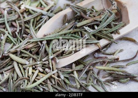 organic dried rosemary with wooden scoop on neutral colored background Stock Photo