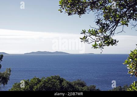 Islands of Port Cros and Bagaud Hyeres Stock Photo