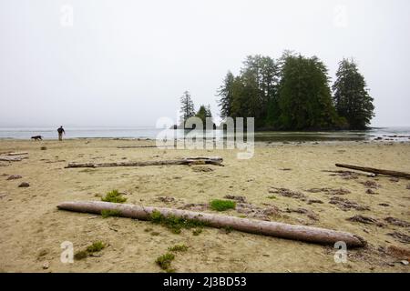 Small island on Long Beach in Tofino, Vancouver Island, Canada Stock Photo