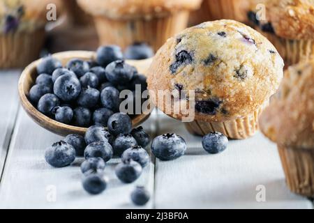 Fresh blueberry muffins with raw blueberries spilling from a wooden spoon. Selective focus on center with blurred foreground and background. Stock Photo