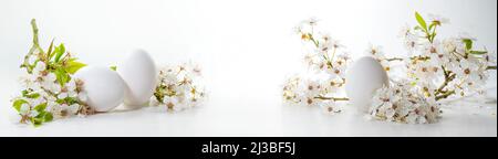 White Easter eggs and wild cherry flower branches on a bright background in wide panoramic banner format, seasonal holiday and spring arrangement, cop Stock Photo