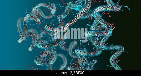 Chain of amino acid or bio molecules called protein - 3d illustration ...