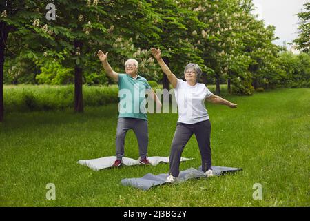 Happy senior man and woman enjoying yoga exercise practice in a green summer park Stock Photo