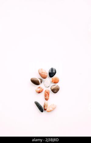 Flat lay of sea pebbles shaped as flower on white background. Sea concept Stock Photo