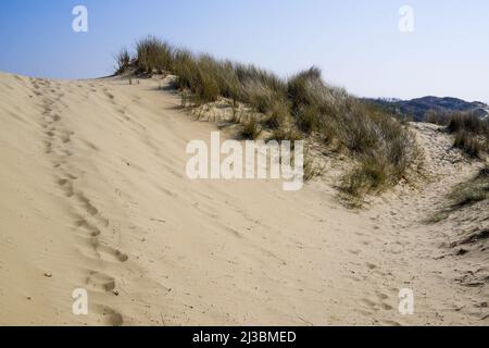 Dune du Perroquet