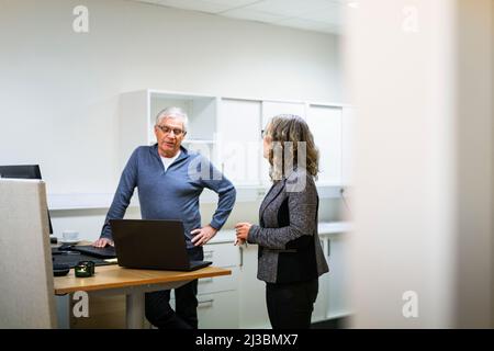 Colleagues using laptop and talking in office Stock Photo