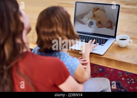 Look at the cute puppy Mom. Cropped shot of a mother and daughter using a laptop together at home. Stock Photo