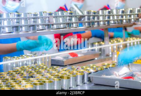 Canned fish factory. Food industry. Workers working in canned food factories to fill sardines in tinned cans. Food processing production line. Food Stock Photo