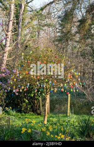 tree covered with hanging easter eggs to celebrate Easter Stock Photo