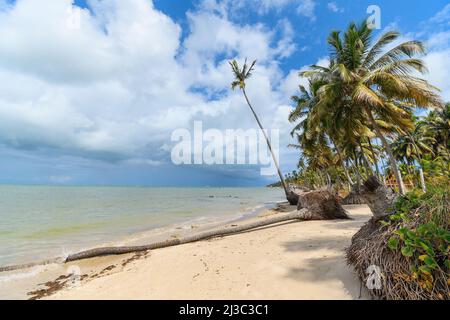 Landscape of Praia dos Carneiros beach, a famous beach of Tamandare, PE, Brazil. Beautiful beach, tourist destination of Pernambuco state. Stock Photo