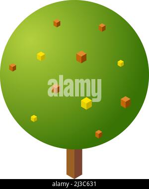 Round tree. Isometric garden plant with fruits or flowers Stock Vector