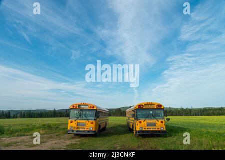 School bus waiting for pupils, Ontario, Canada Stock Photo