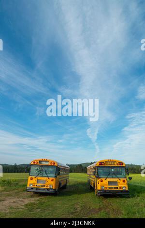 School bus waiting for pupils, Ontario, Canada Stock Photo