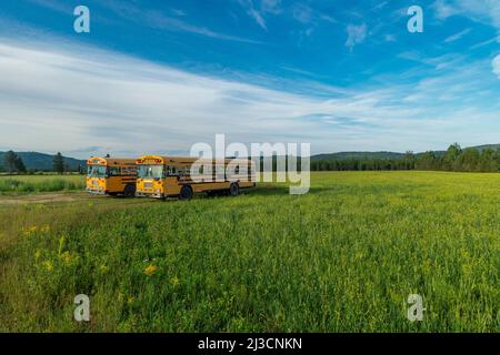 School bus waiting for pupils, Ontario, Canada Stock Photo