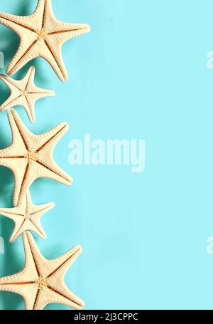 Starfish on the summer blue background. Summer background. Summer time. Stock Photo