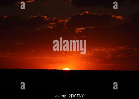 African sunset, Addo Elephant National Park Stock Photo