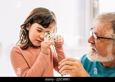 Content bearded grandfather with positive girl looking at white chamomile through magnifying glass while studying botany in light room at home Stock Photo