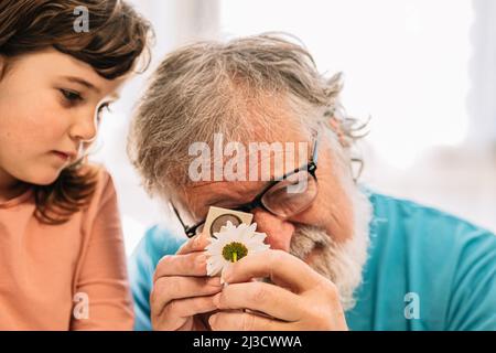Content bearded grandfather with positive girl looking at white chamomile through magnifying glass while studying botany in light room at home Stock Photo