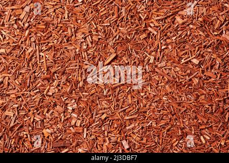 Background made of red sandalwood chips - ingredient for aromatherapy Stock Photo
