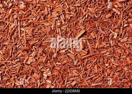 Red background made of sandalwood chips - ingredient for the productions of perfumes and aromatherapy Stock Photo