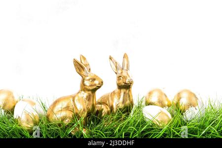 Easter bunnies with golden eggs in green grass on white background Stock Photo