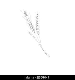 25 Wheat Tattoo Meaning and Design Ideas For MenWomen  EntertainmentMesh