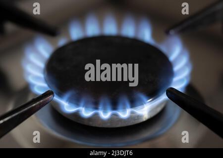 Blue flame of gas stove in a close-up view. Stock Photo