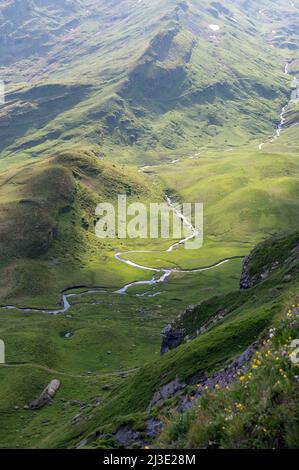 First near Grindelwald, Bernese Oberland, Switzerland Stock Photo - Alamy