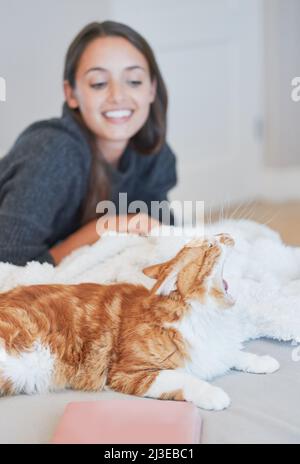 Looks like someone needs a cat nap. Shot of a cat yawning while bonding with its owner at home. Stock Photo