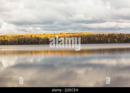 Forest of deciduous and conifer trees on edge of Lac Taureau in autumn, Saint-Michel-des-Saints, Lanaudiere, Quebec, Canada. Stock Photo