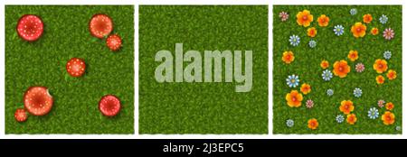 Textures of green grass with flowers and mushrooms for game background. Vector cartoon seamless patterns of top view of lawn with blossoms, summer mea Stock Vector