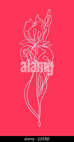 iris one line art. vector illustration Stock Vector