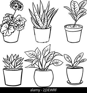 House plants in pots. Vector illustration Stock Vector