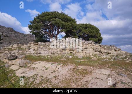 Trees grow on the foundation of the famous Altar of Zeus. The altar fragments are in a Berlin, Germany museum. At the ancient hilltop late Greek city Stock Photo