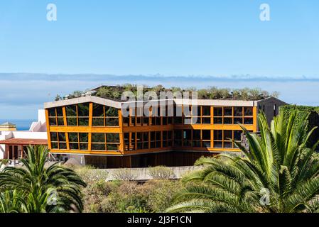 Icod de los Vinos, Spain - August 12, 2021: Drago Park around Drago Milenario. The monumental tree is one of the symbols of Tenerife and was declared Stock Photo