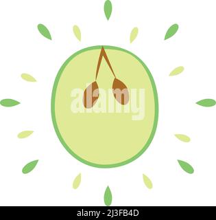 Abstract succulent sapodilla icon with splashes isolated on white background - Vector illustration Stock Vector